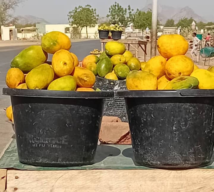 Tchad-Société : La production des mangues cette année est déficitaire dans plusieurs provinces