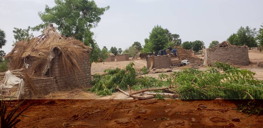 Province de Mayo Kebbi-Est: Une pluie violente s’est abattue sur Gounou-Gaya, causant des dégâts matériels