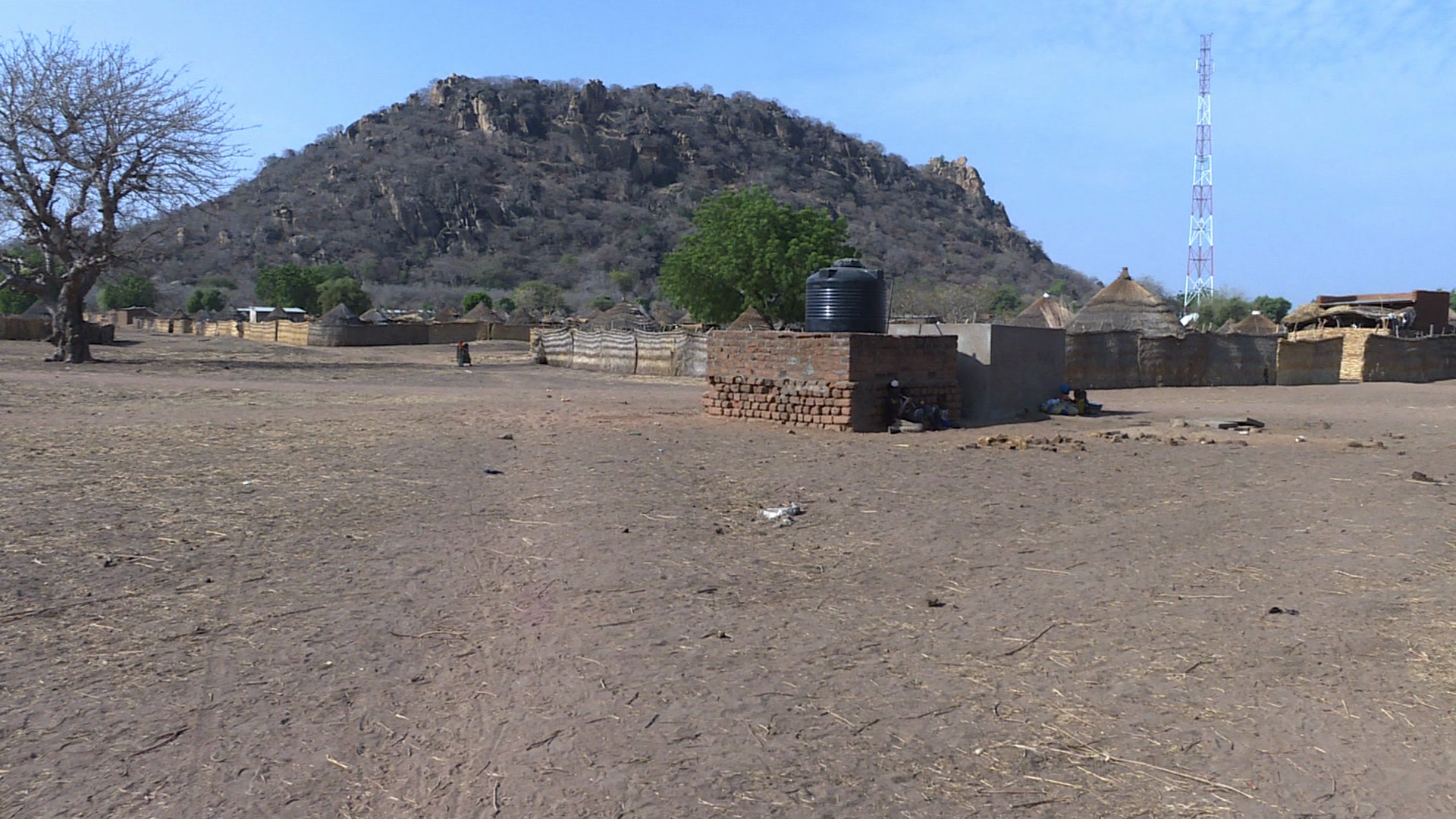 Tchad-Agriculture : Mobilisation des agriculteurs pour les travaux champêtres, une tradition de résilience et d’espoir