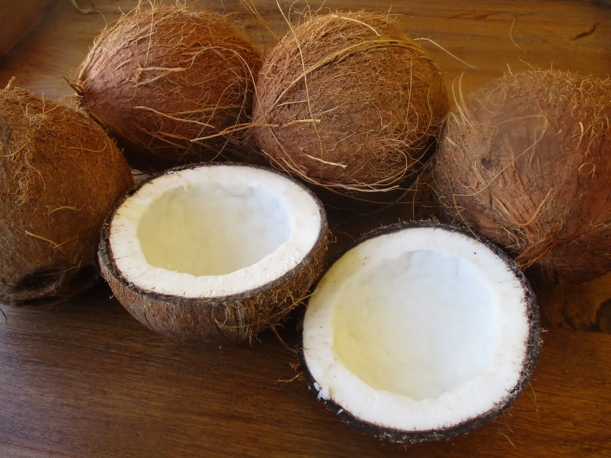 Tchad-Sécurité alimentaire : La consommation de noix de coco, quelle est sa vertus, peut-il nuire à la santé ?