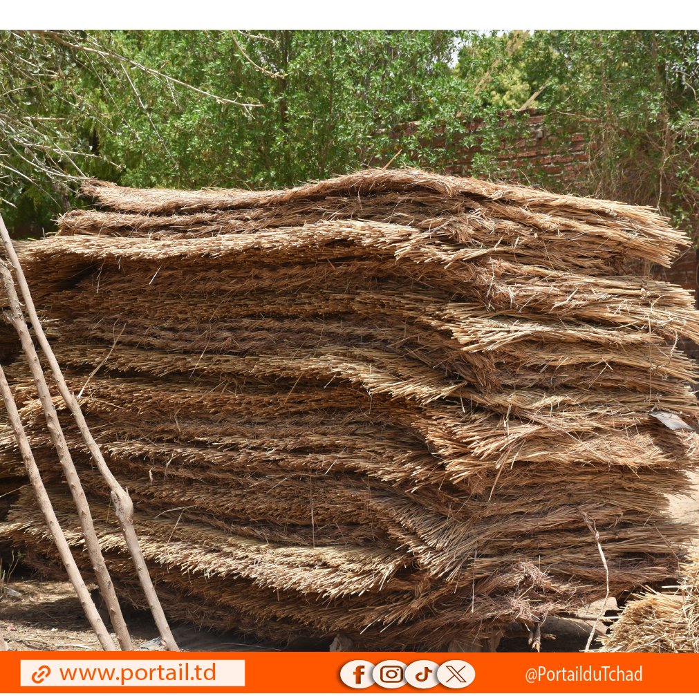 Tchad-Culture : Le Séko en paille, un trésor traditionnel tchadien qui brille dans les temps modernes