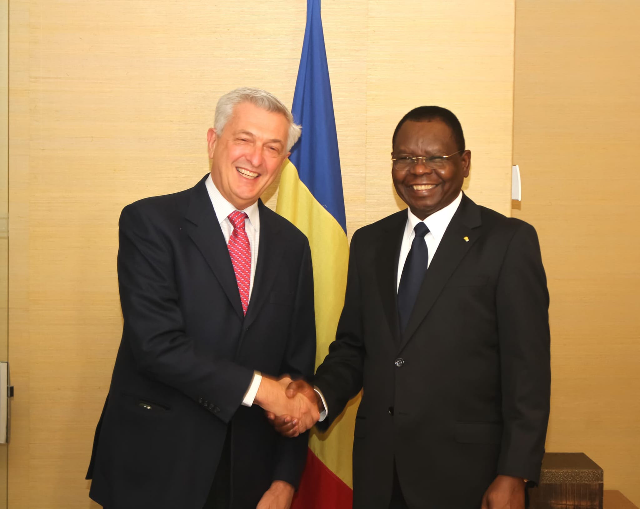 Tchad -HCR : Rencontre entre le Premier Ministre Allah-Maye Halina et Filippo Grandi à Genève