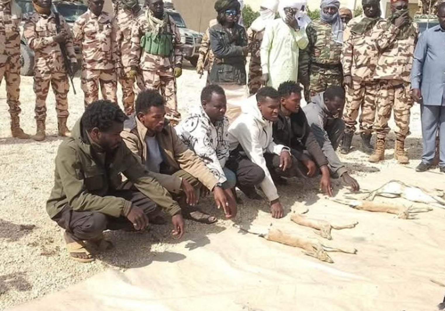 Tchad : Lutte contre le braconnage : Cinq présumés braconniers interpellés dans la province de l’Ennedi Est