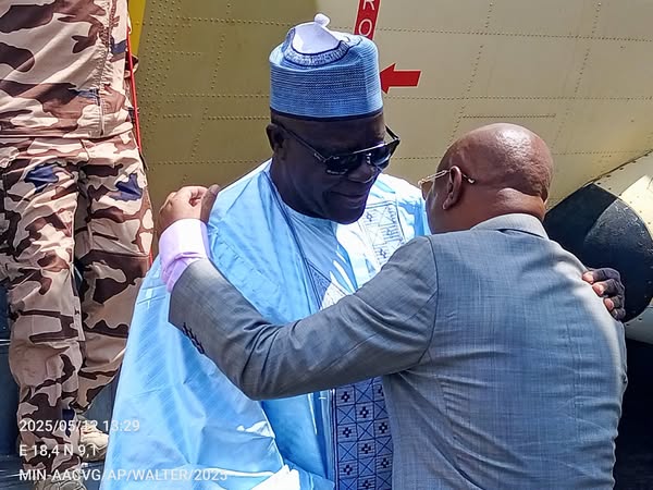 Tchad-RCA : Vers une Force Conjointe pour Sécuriser la Frontière Commune