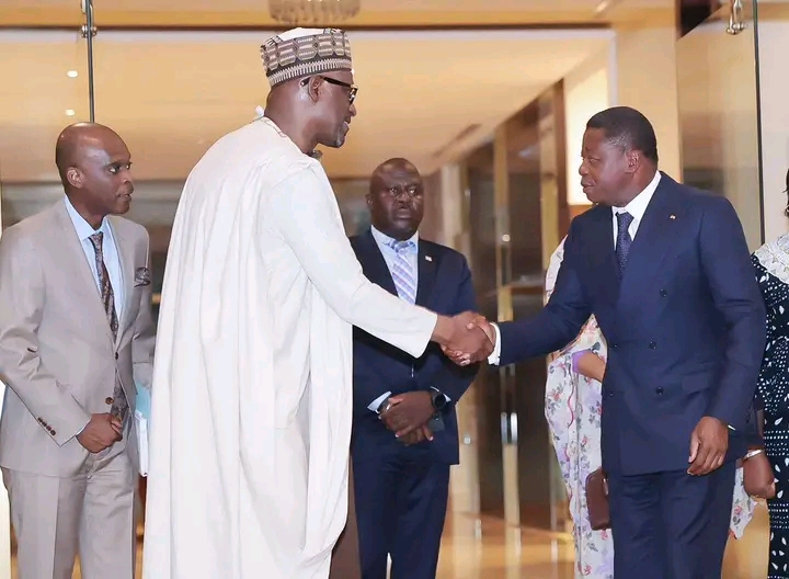 Faure Gnassingbé reçoit une délégation ministérielle africaine dans le cadre de la 3e conférence de l’Alliance politique africaine (APA)
