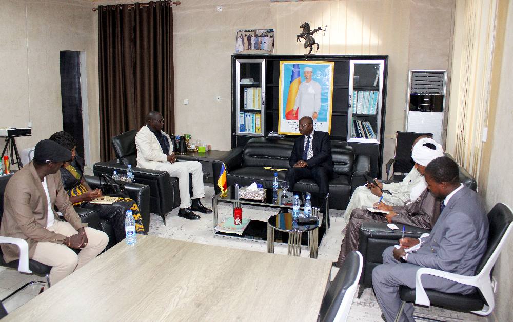 Rencontre stratégique au ministère de l’Eau et de l’Énergie : Le Tchad explore de nouvelles opportunités de production locale d’énergie avec la société TRANLSOIN