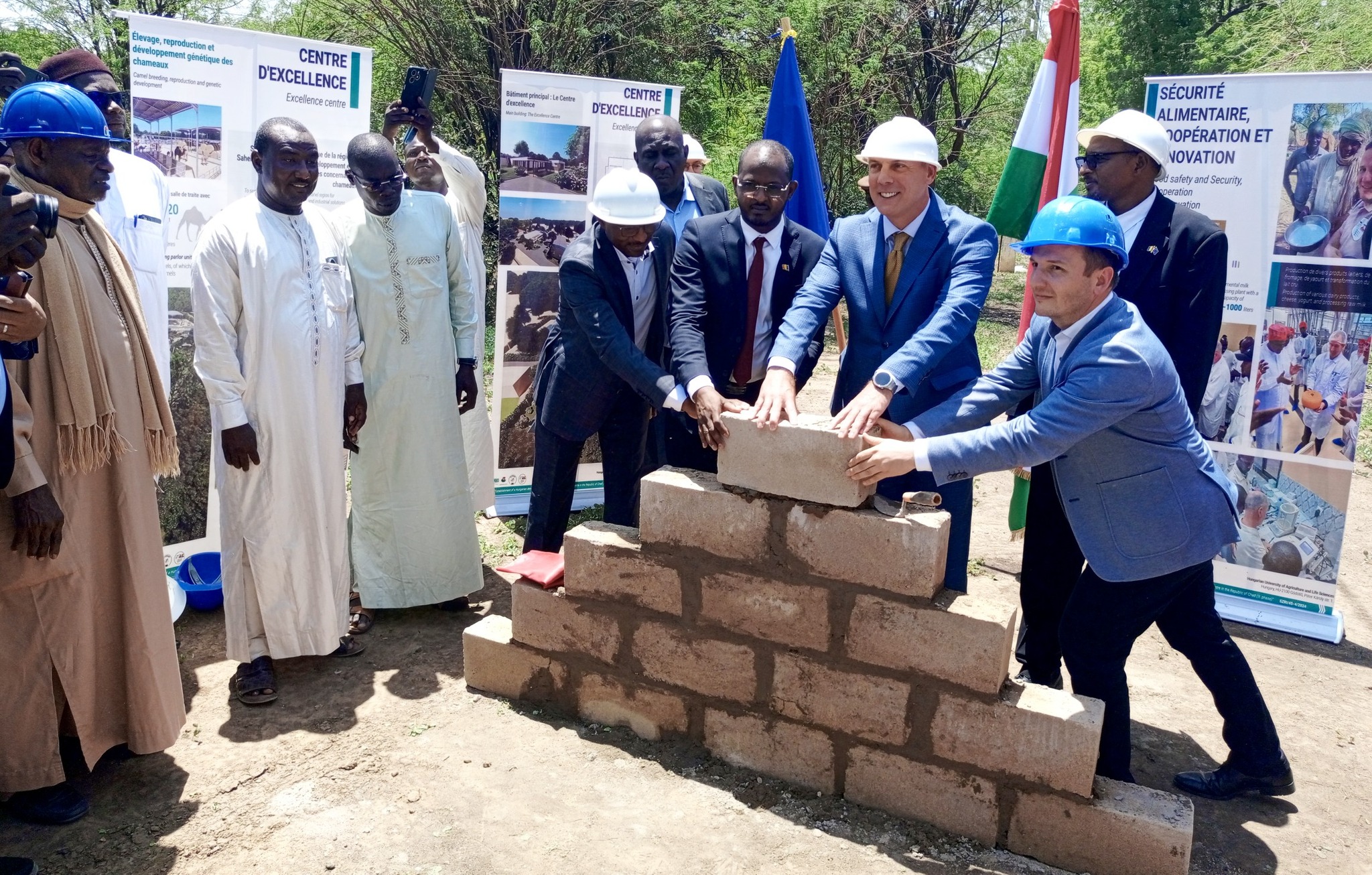 Tchad–Hongrie : Un Partenariat Renforcé pour un Élevage Innovant