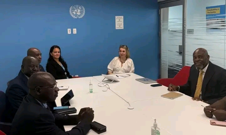 Rencontre bilatérale au sommet entre le Tchad et les Nations Unies sur la consolidation de la paix