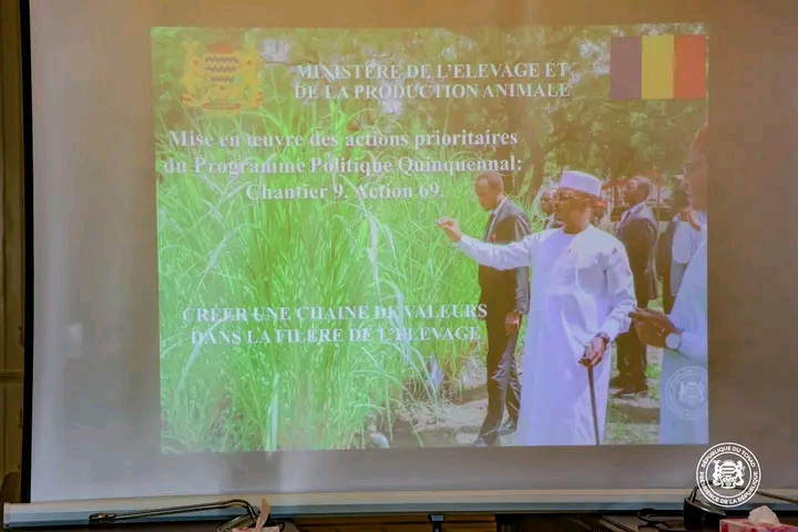 Tchad : Le Président Mahamat Idriss Déby Itno relance la dynamique du chantier n°9 sur l’industrialisation du secteur de l’élevage