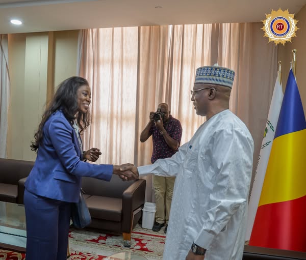 Renforcement des capacités parlementaires : Le Président de l’Assemblée nationale reçoit une délégation de l’ECES
