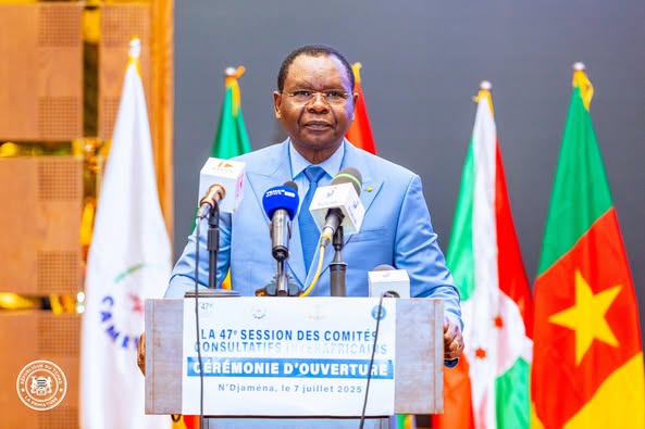 47e Session du CAMES : Le Premier ministre Allah-Maye Halina lance les travaux à N’Djamena