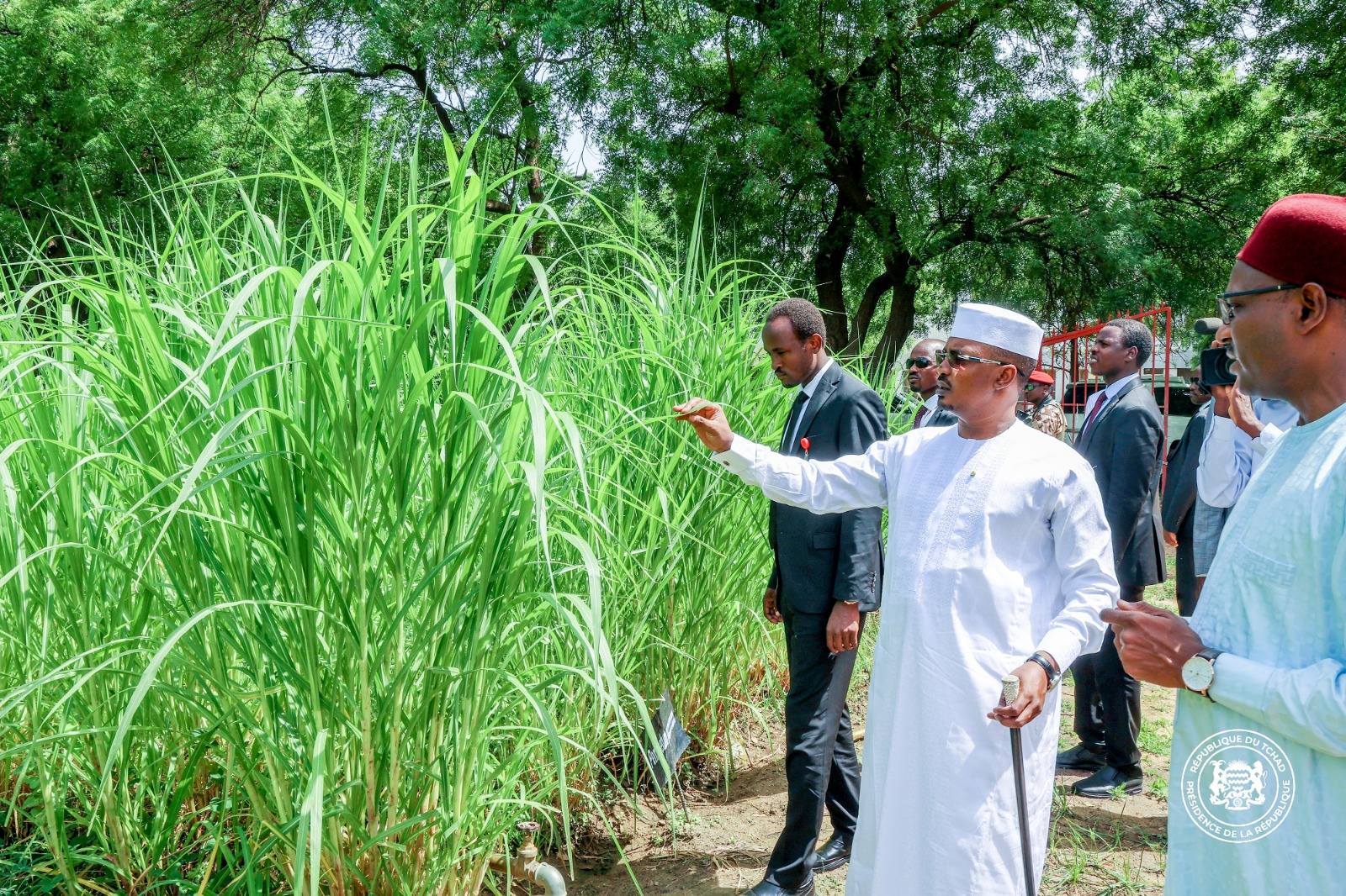 Visite surprise du Président Mahamat Idriss Déby Itno à l’IRED : un appel à la relance de la production vaccinale