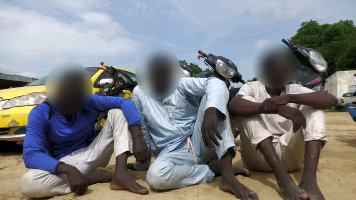 Sécurité : 31 présumés criminels arrêtés lors d’une vaste opération de police