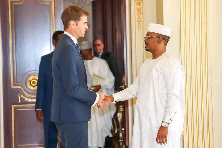 L’Ambassadeur britannique Ross Matthews fait ses adieux au Président de la République