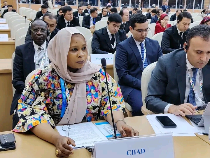 Tchad : La Ministre Fatimé Adjineh Garfa plaide pour une mobilisation accrue des ressources en faveur des pays enclavés