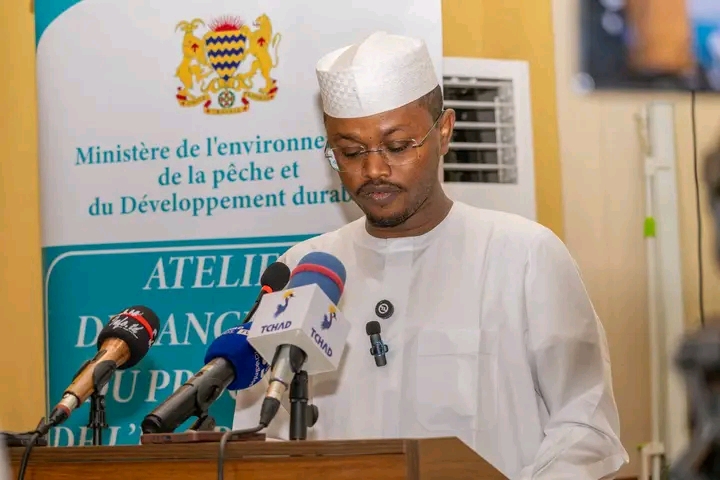 Tchad : Lancement du numéro vert 1319 pour signaler les atteintes à l’environnement