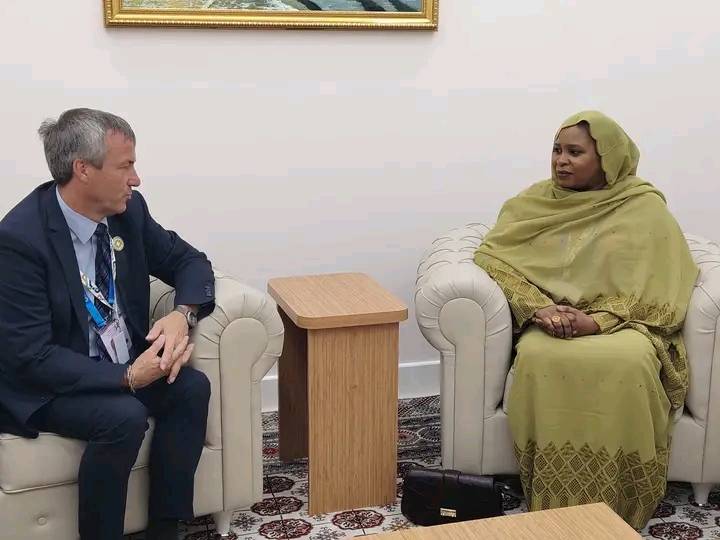 Tchad–Allemagne : renforcement des relations bilatérales et coopération humanitaire au centre des échanges à Awaza