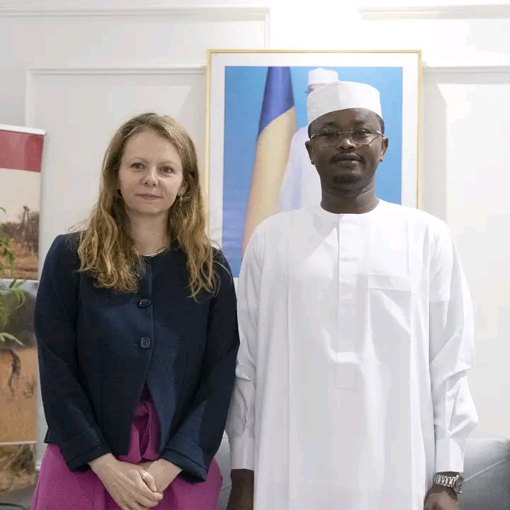 Visite de courtoisie de l’Ambassadrice britannique au Ministre de l’Environnement tchadien