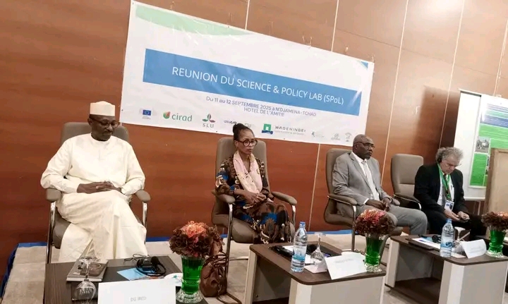 L’IRED lance un atelier international sur les systèmes agro-pastoraux durables