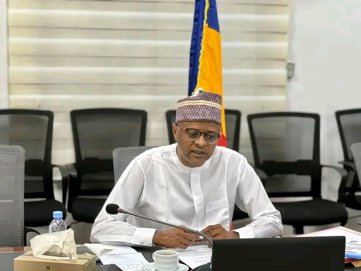 Visioconférence Tchad–Émirats : Cap sur la Table Ronde « Tchad Connexion 2030 »