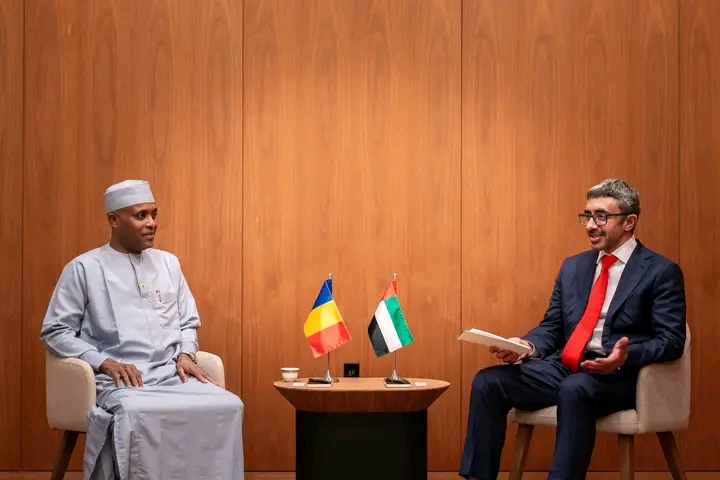 Dr Abdoulaye Sabre Fadoul et Cheikh Abdullah bin Zayed Discutent Coopération Économique et Diplomatique