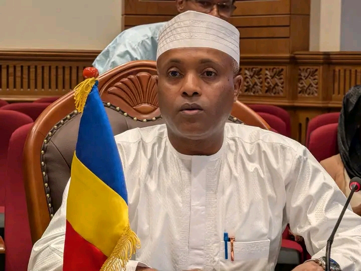 Tchad – Union européenne : Un nouveau souffle pour un partenariat stratégique