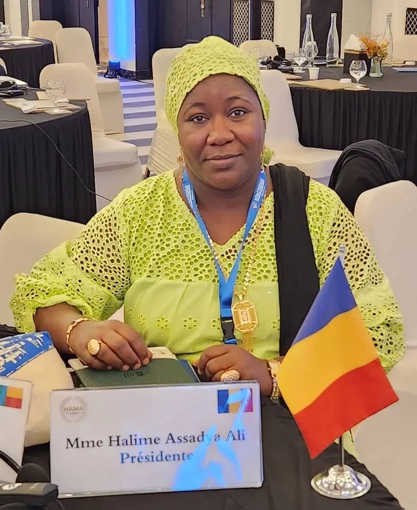 La HAMA prend part à une conférence internationale sur le droit à l’information à l’ère numérique à Rabat-Salé