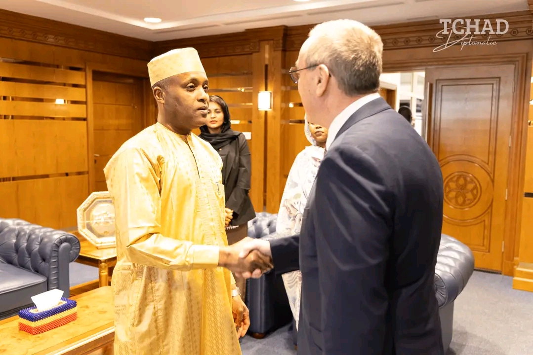 Diplomatie : le Tchad et la France renforcent leur dialogue bilatéral