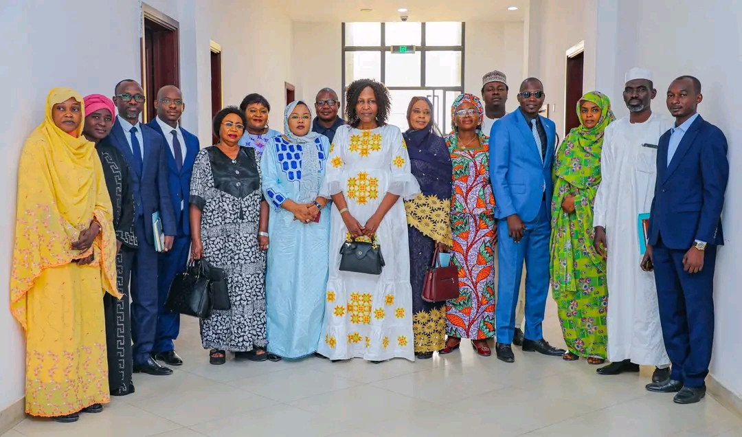 Restructuration du Fonds national de solidarité : la Ministre Zara Mahamat Issa auditionnée à l’Assemblée nationale