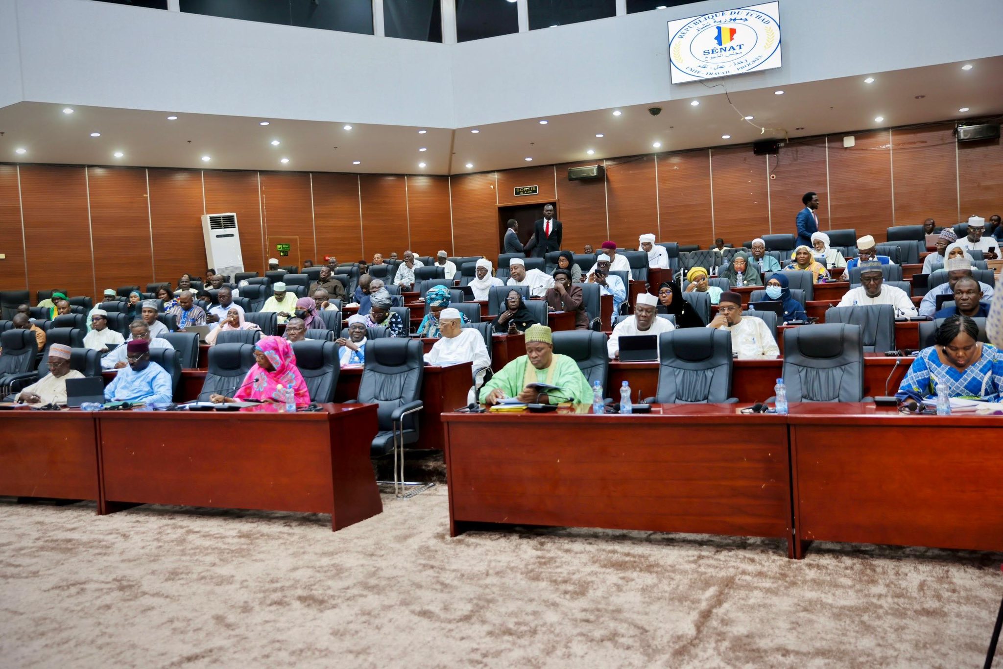 Le Sénat tchadien adopte l’accord de promotion et de protection des investissements avec les Émirats Arabes Unis