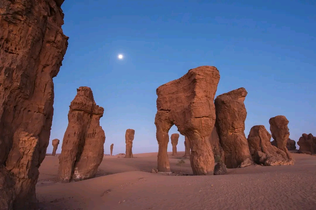 Découverte du corps sans vie d’un touriste français à Bachikele : une enquête ouverte