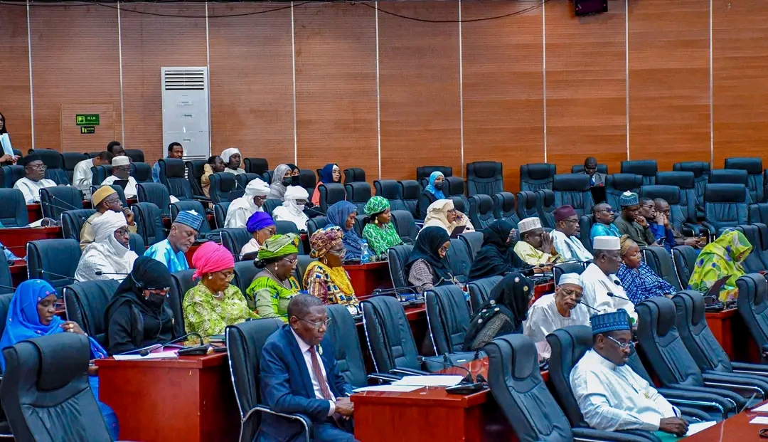 Sénat du Tchad : adoption d’un projet de loi sur les accords aériens bilatéraux