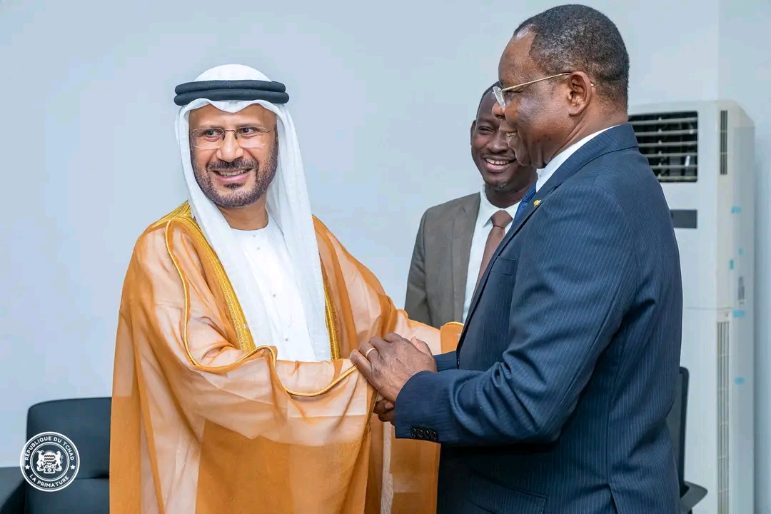 Le Tchad et les Émirats arabes unis consolident leur partenariat dans le secteur de la santé