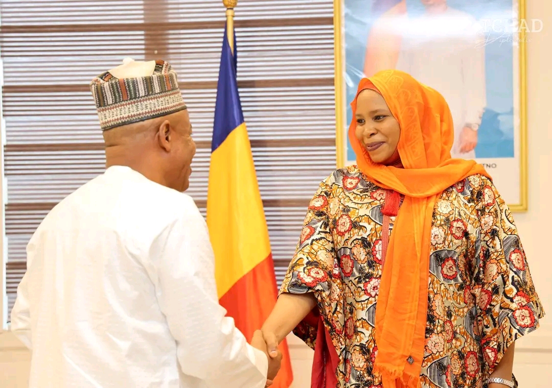 Prise de fonction : Ibrahim Babani officiellement installé à la tête de la CBLT et de la FMM