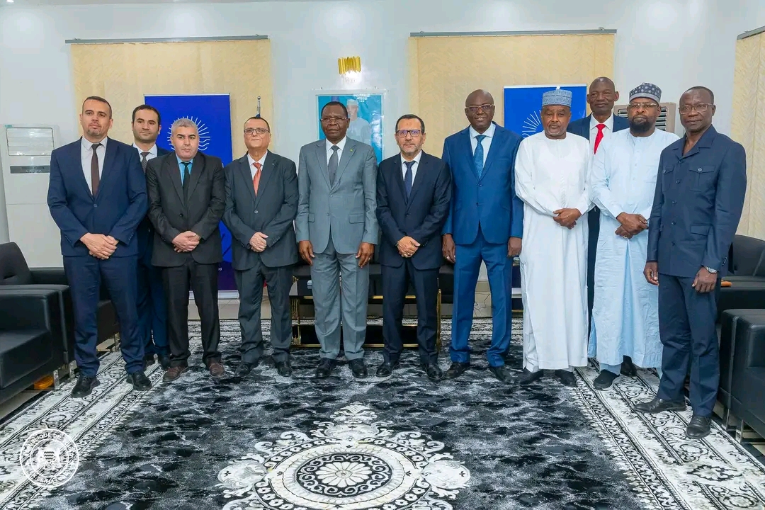 Coopération énergétique : le Tchad et l’Algérie accélèrent le projet d’une centrale électrique de 40 MW à N’Djamena
