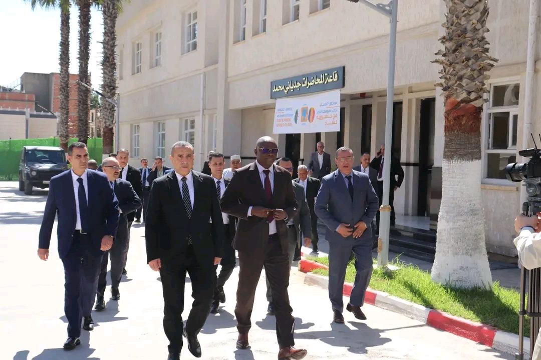 Coopération énergétique : le Tchad s’inspire du modèle algérien de Sonelgaz