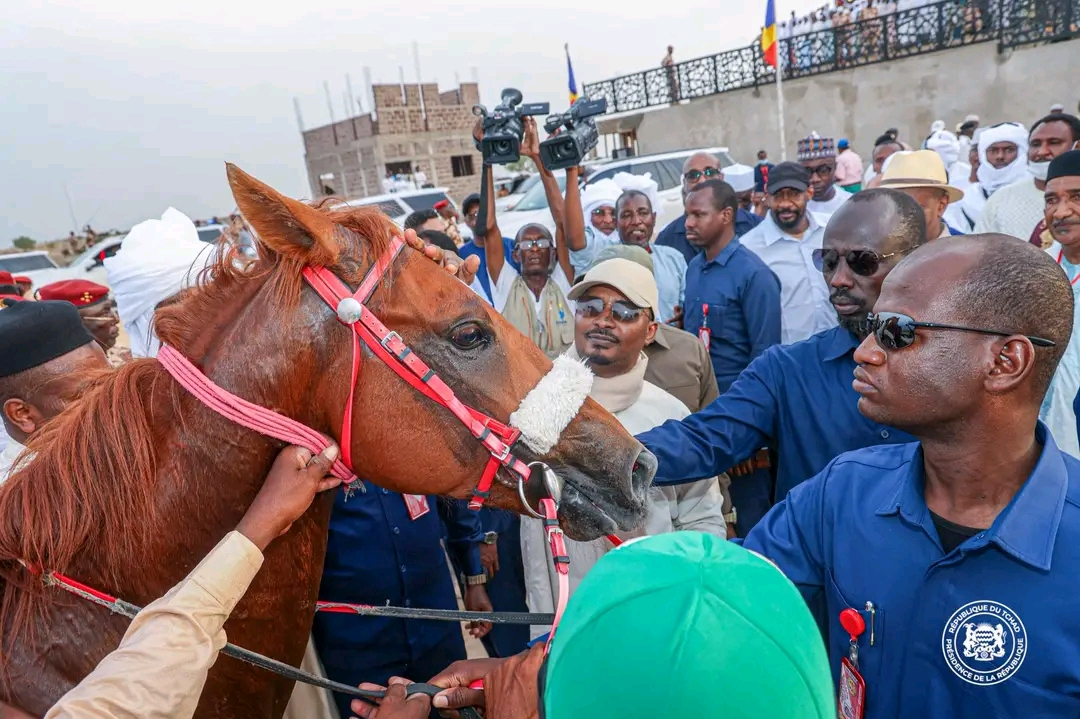 Grand Prix de la République à Afrouk : le Président Mahamat Idriss Déby Itno célèbre la tradition équestre tchadienne
