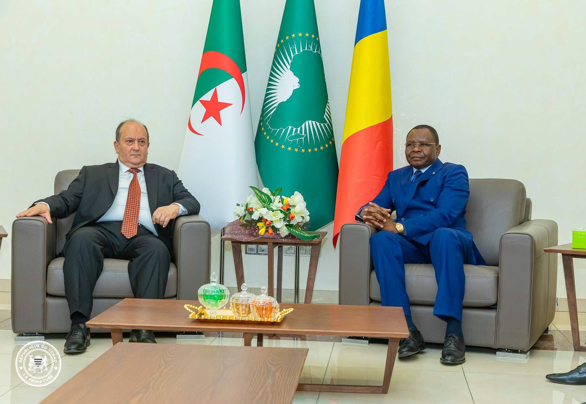 Coopération Tchad-Algérie : vers la construction d’une centrale thermique à N’Djaména