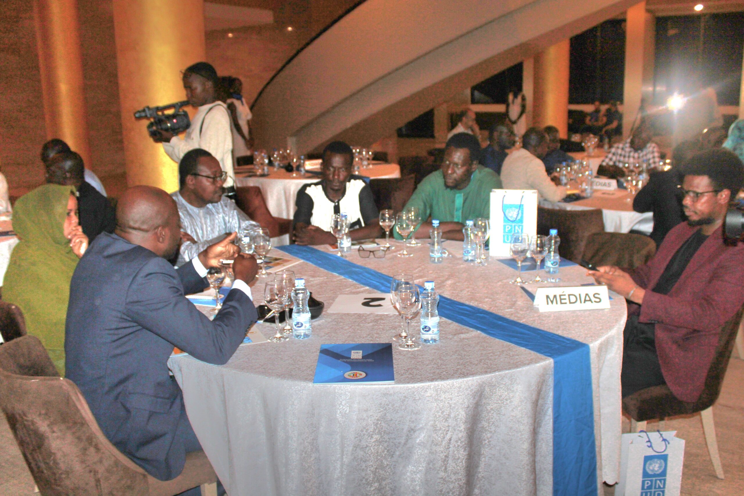 Dialogue stratégique : le PNUD fait le point sur ses actions de développement au Tchad