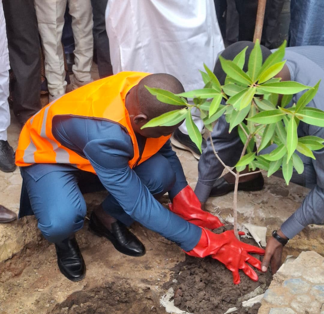 Semaine Nationale de l&rsquo;Arbre : le ministère du Commerce et de l&rsquo;Industrie met en terre des plants à Habena