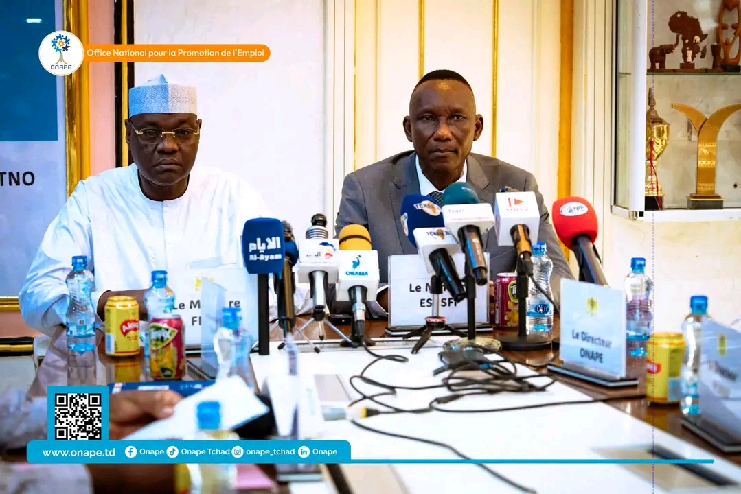 évision de la PNEFP : le Tchad engage un nouveau chantier pour adapter l’emploi aux défis du marché du travail